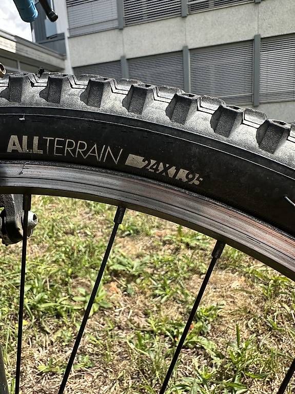 Velos: Giant Kinder Fahrad 24" – Gebraucht aus Eschlikon TG von sking1986 3