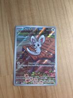 Picochilla IR, near Mint, DE
