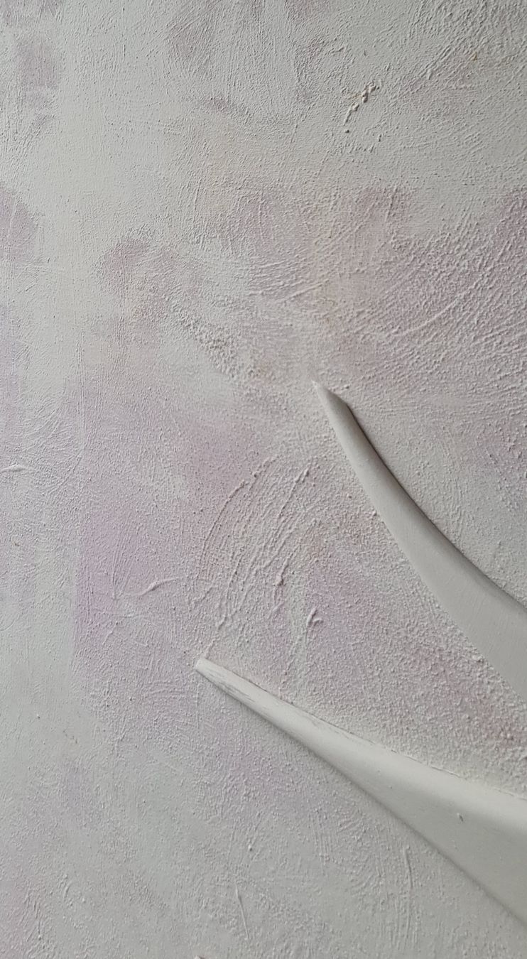 Dipinti: Acrylbild Edelweiß*Atelier-elisa – Usato da Wohlen AG venduto da Atelier-Elisa 4