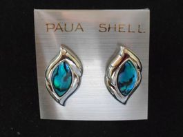 Paua Shell Earrings Paua Muschel Ohrstecker