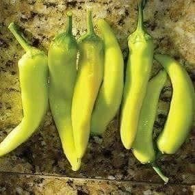 Piante & sementi: POIVRON DOUX JAUNE DE HONGRIE 20g – Nuovo (secondo la descrizione) da Bremblens venduto da FIBONACCI369