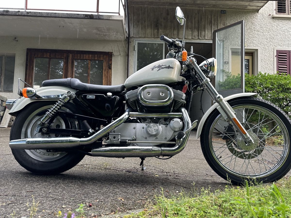 Harley-Davidson Altro: Motorrad Harley 883 – Usato da Aarau venduto da rhe_vdj5 3
