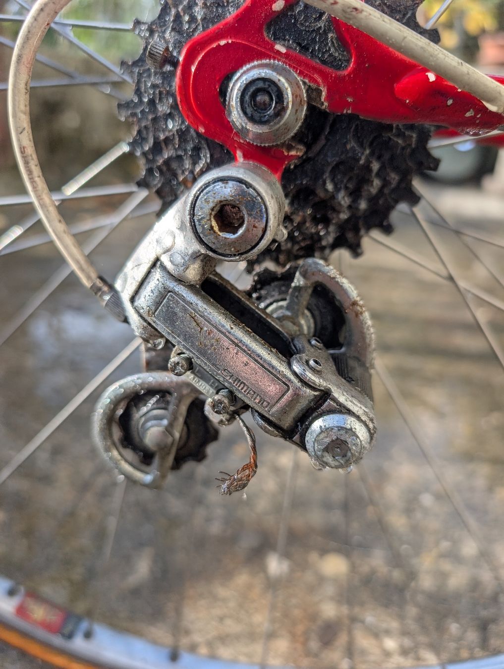 Biciclette: allegro vélo de course  – Usato da Fontainemelon venduto da kev26 1