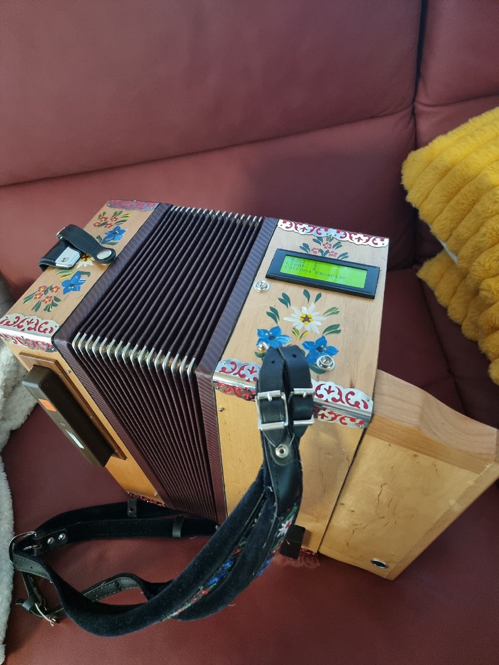 Strumenti musicali: Spezial Selbstspielende Handorgel mit 194 Lieder – Usato da Erschwil venduto da hexeraus 2