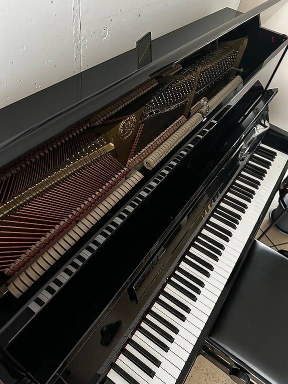 Yamaha Strumenti musicali: Yamaha P121HG-Silent Klavier – Usato da Dübendorf venduto da edu_p5jy 3