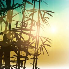 Profile image of Bamboo_99