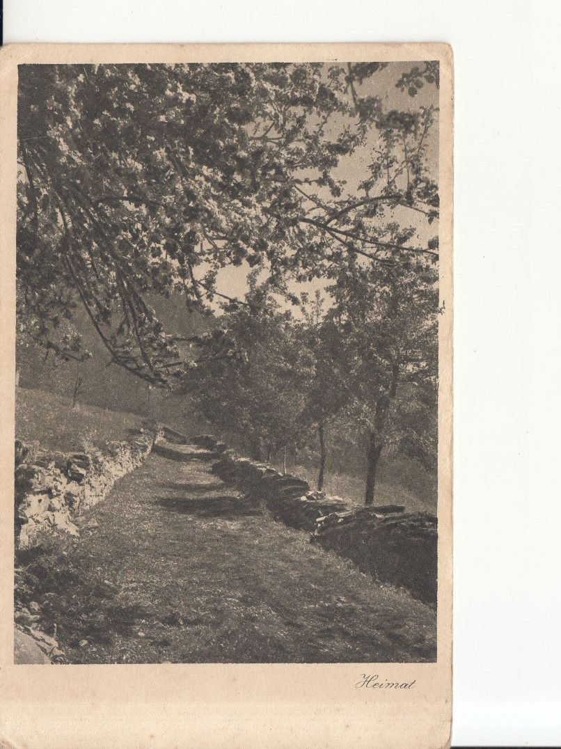 Cartoline postali: Schiers 1922 – Usato da Bürglen TG venduto da StampGraf