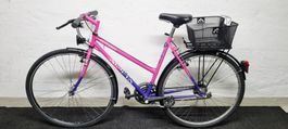 Alpina Damen City Velo 28" Gratis Liferung
