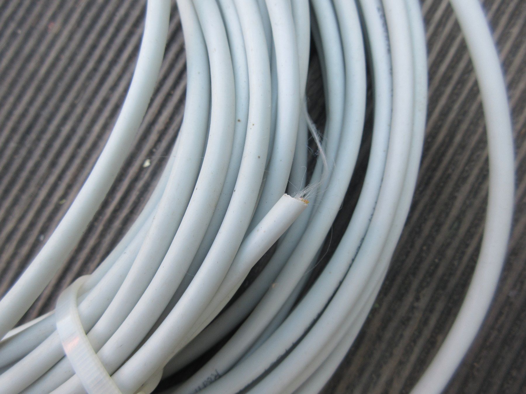 Kabel: Langes LAN-Kabel – Gebraucht aus Sirnach von Formalin 3