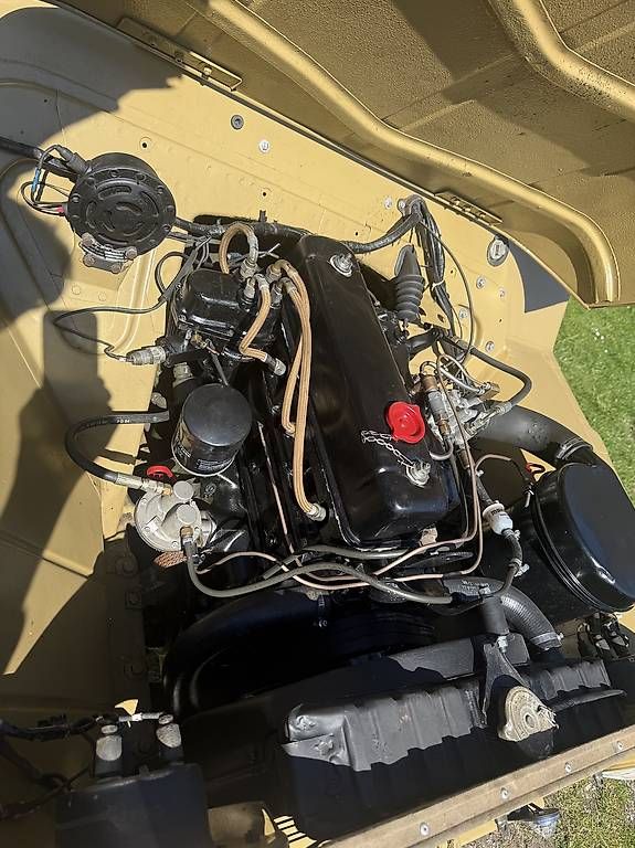 Ford Automobili: Ford Mutt M151 A2 – Usato da Illnau venduto da Bugak 4