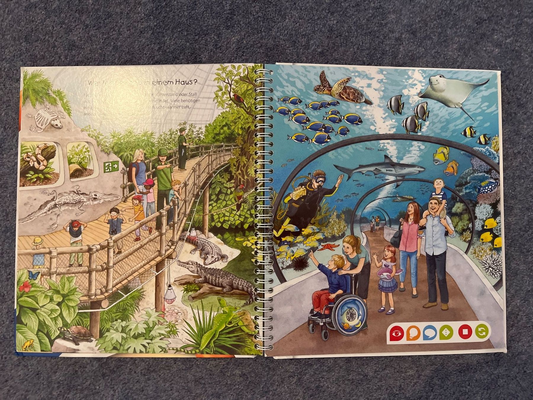 Bücher: tiptoi Entdecke den Zoo – Gebraucht aus Unterlunkhofen von FadigerFaden 1