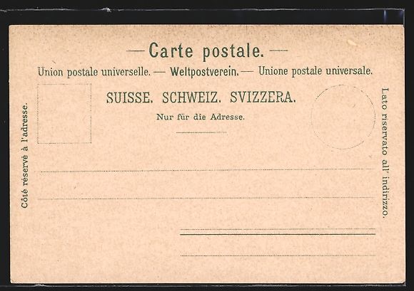 Cartes postales: Litho Brienz, Gesamtansicht Brienzer See – D'occasion à Berlin par bartko-reher 1
