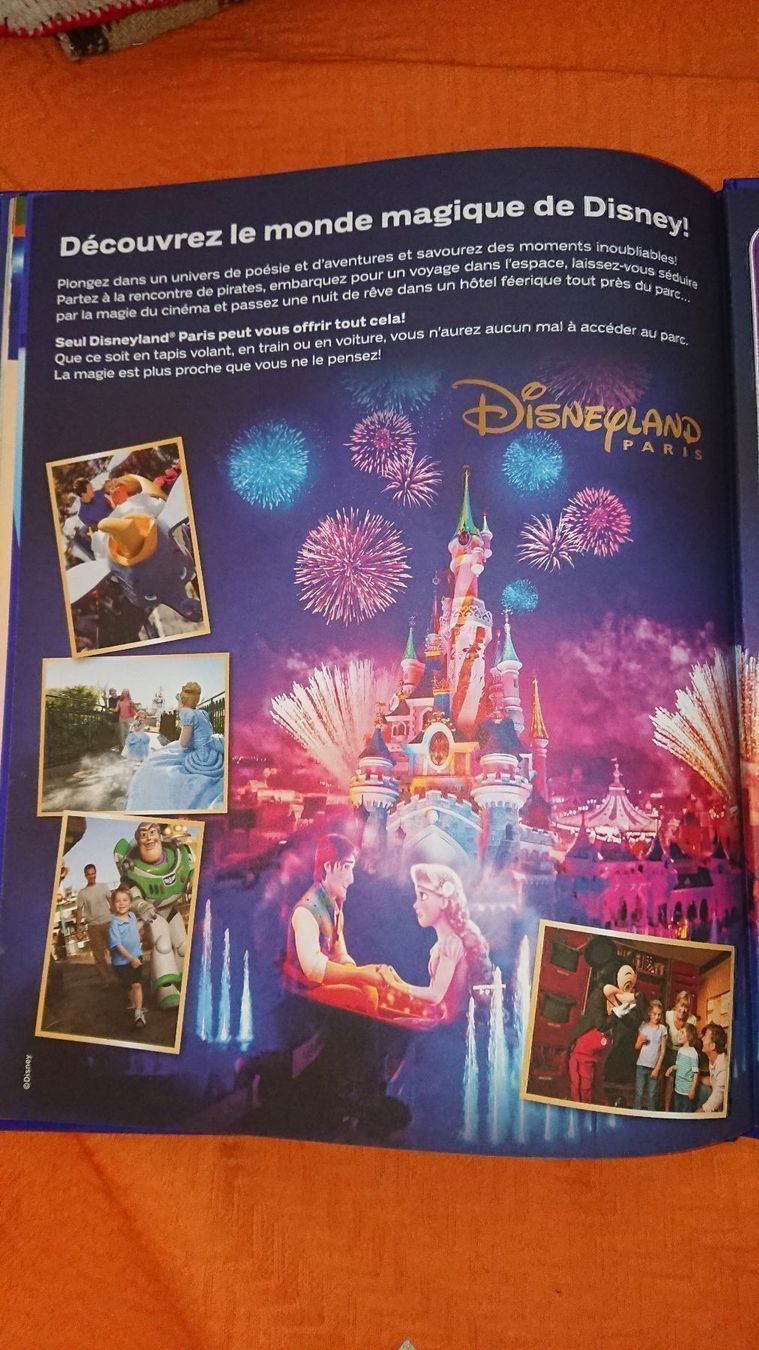 Libri: Le Monde Magique de Disney – Usato da Cortaillod venduto da signep 5