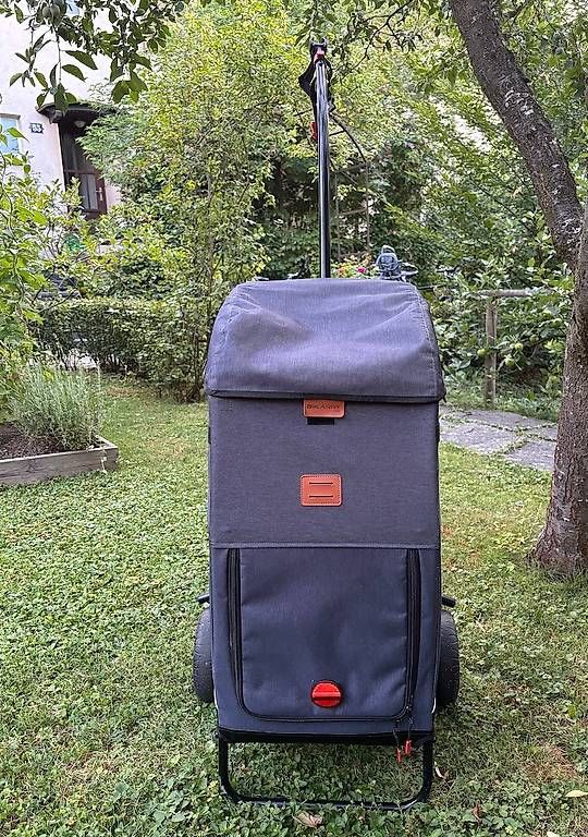 Rimorchi: Veloanhänger Bikcarry One – Usato da Zürich venduto da luxem