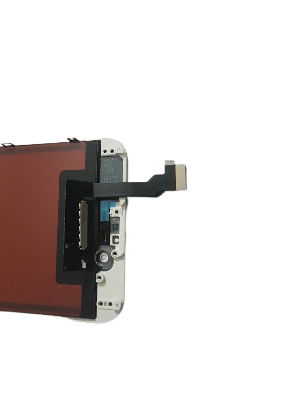 Apple Telefoni cellulari / Smartphones: Iphone 6 Display weiss – Nuovo e nell'imballaggio originale da Buchrain venduto da handyteileversand 1