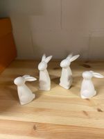 Seltene lustige Décor Hasenfamily, 10cm