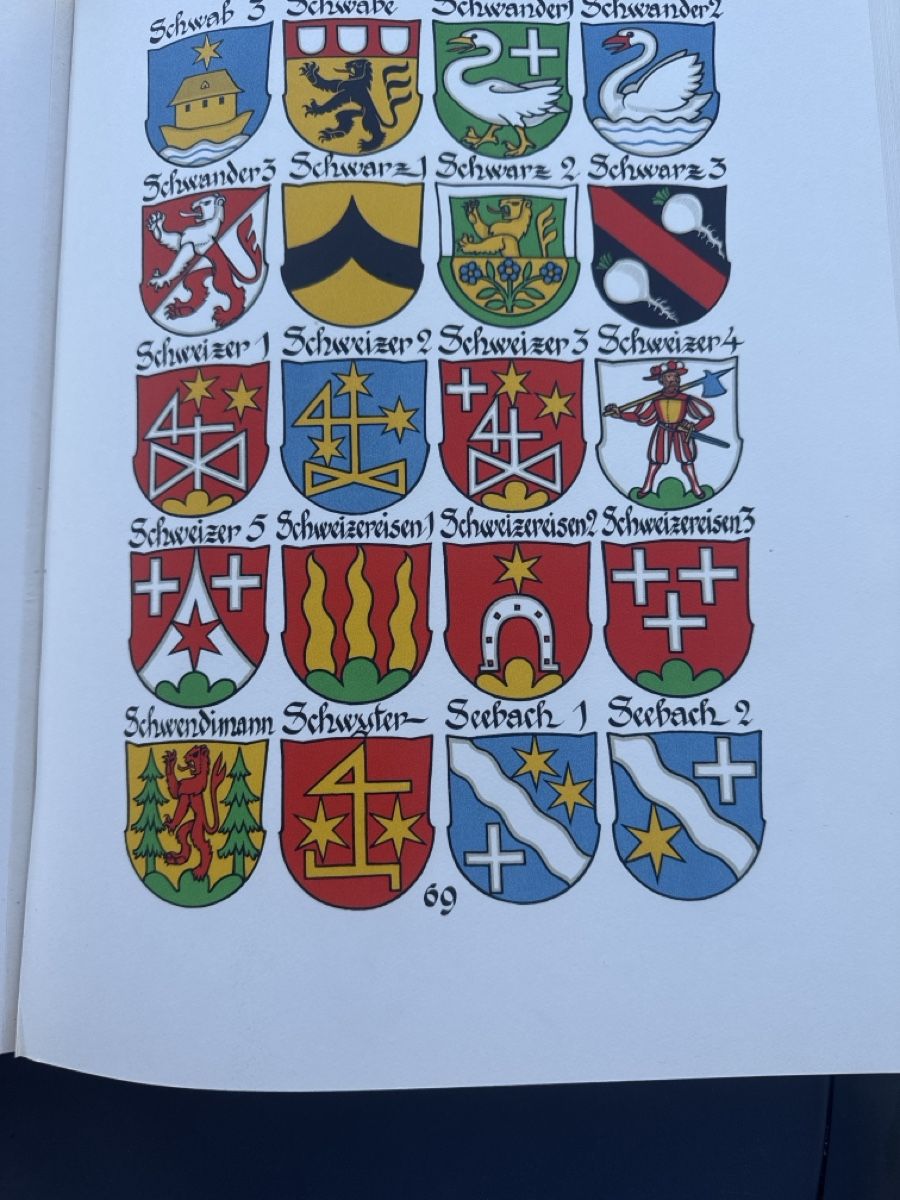 Libri: Berner Wappenbuch – Usato da Wettswil venduto da artiana56 6