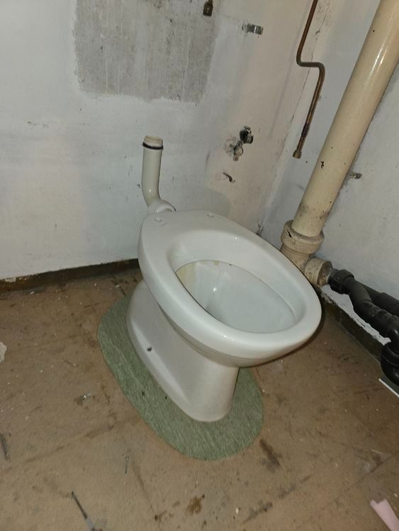 Laufen WC: Laufen WC – Usato da Spreitenbach venduto da Space_X 2