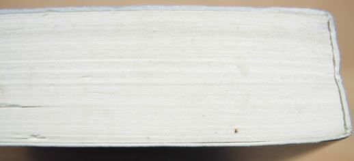 Livres: Mein Kind hat Tics und Zwänge – D'occasion à Dübendorf par rumpumpel 4