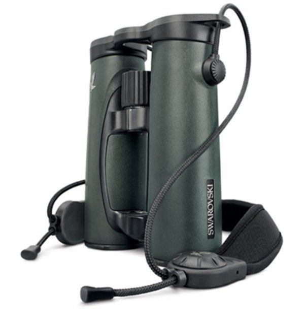 Swarovski Optik Binocoli: Swarowski SLC 10x42 neuwertig – Nuovo (secondo la descrizione) da Walenstadt venduto da feldmaus01 1