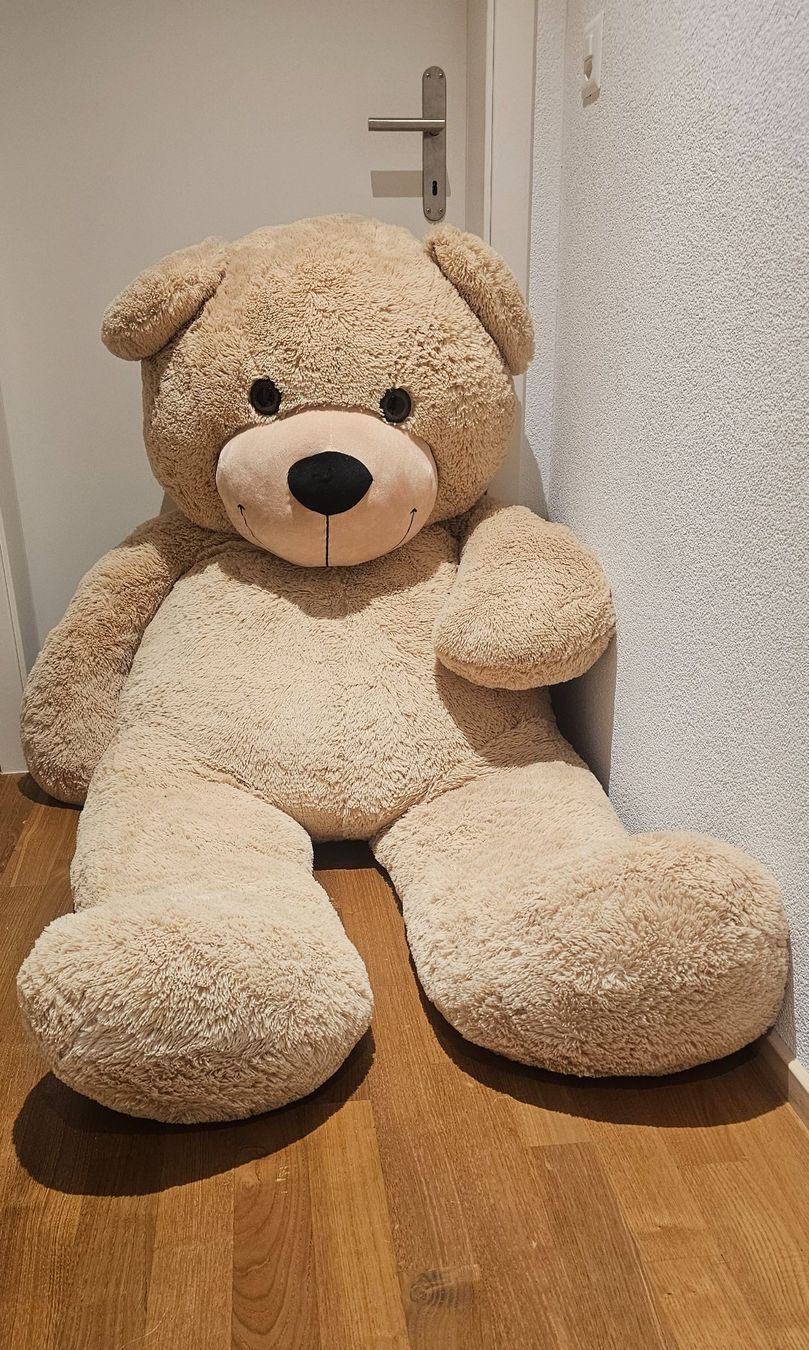 Giocattoli: Teddybär beige 2 Meter groß – Nuovo (secondo la descrizione) da Rorschach venduto da Eni_f96b