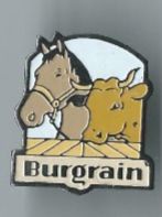 Kuh und Pferd Pin.