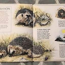 Libri: Livre "Les animaux des champs" – Usato da Vernayaz venduto da kat_h7s2 1