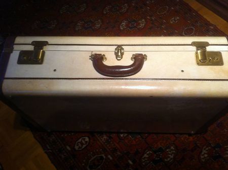 Valise vintage en parchemin