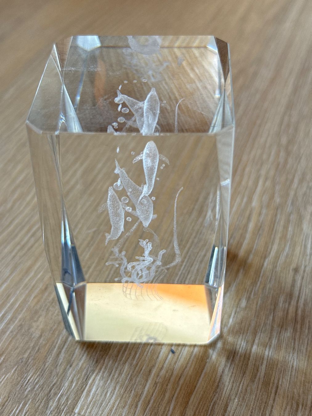 Bicchieri: Glas Briefbeschwerer mit Delfinen – Usato da Andelfingen venduto da Judy0007 2