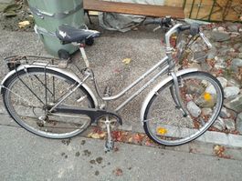 Damenvelo Citybike Silber zu verkaufen, ideal für Herbst