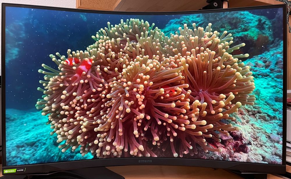 Samsung Odyssey G7 LC32G75TQSUXEN 2560x1440 Pixel 32