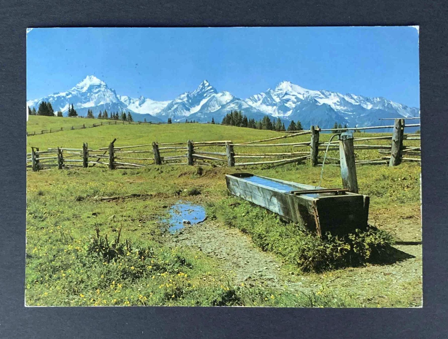 Ansichtskarten: AK Wiesner Alp oberhalb Wiesen GR – Gebraucht aus Goldau von artelier1
