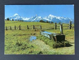 AK Wiesner Alp oberhalb Wiesen GR