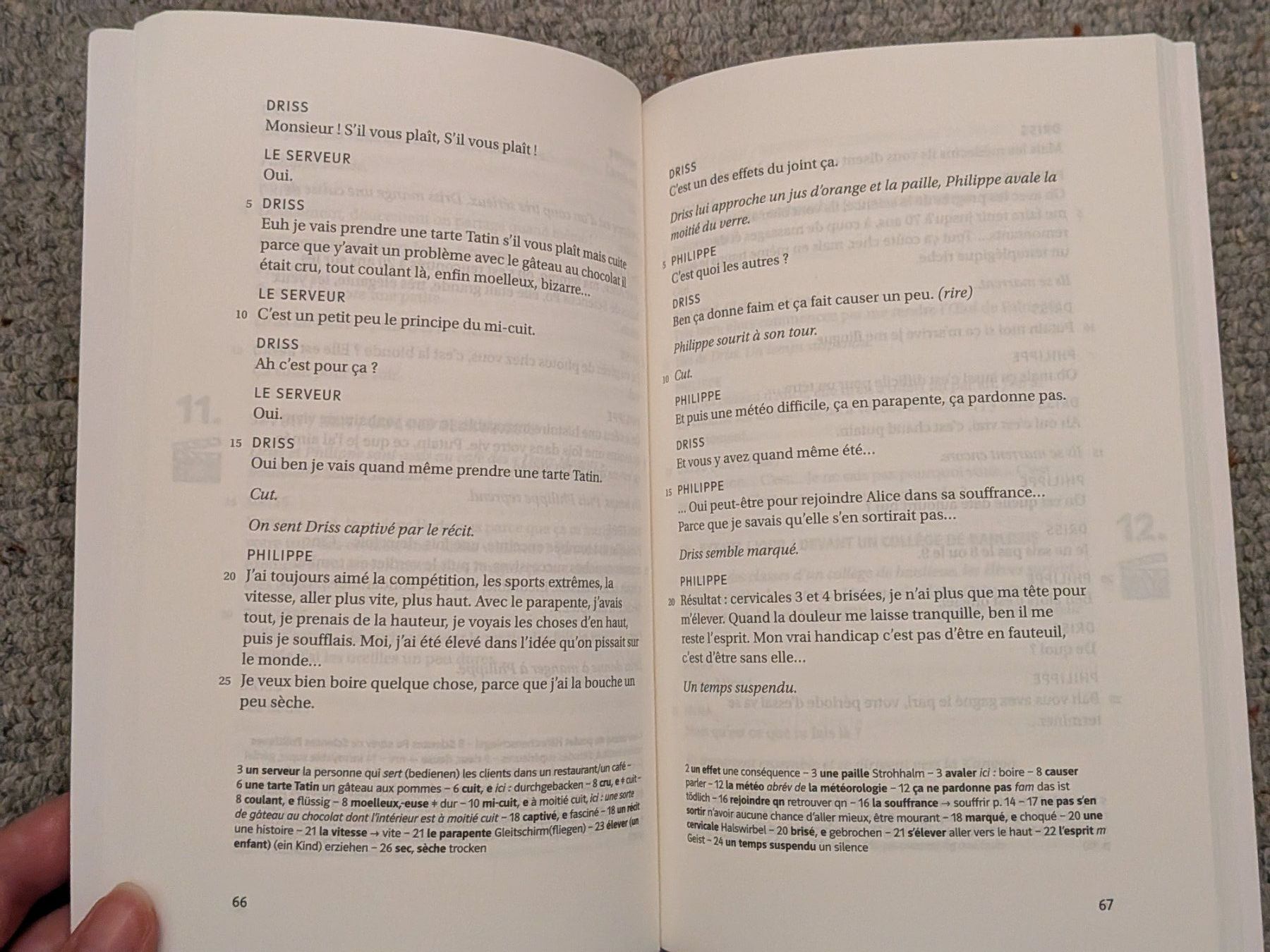Libri: Intouchables in französisch – Usato da Wittenbach venduto da 03061984tabeakleber 3