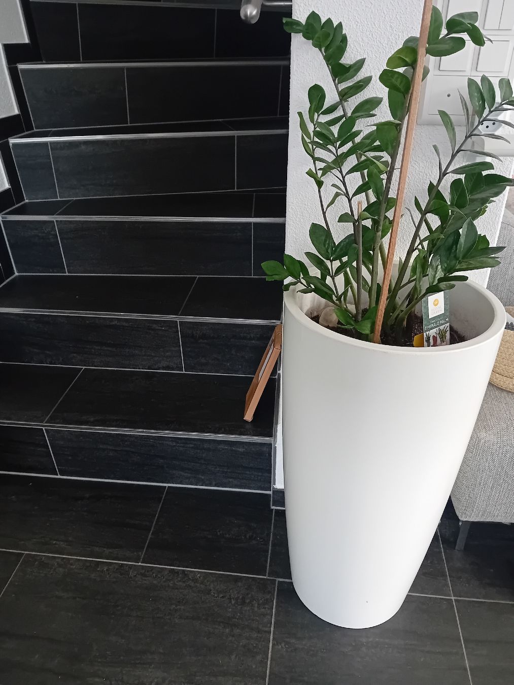 Vasi per fiori:  Übertopf 80 cm hoch, weiss – Nuovo (secondo la descrizione) da Villmergen venduto da elk_h6yr 2