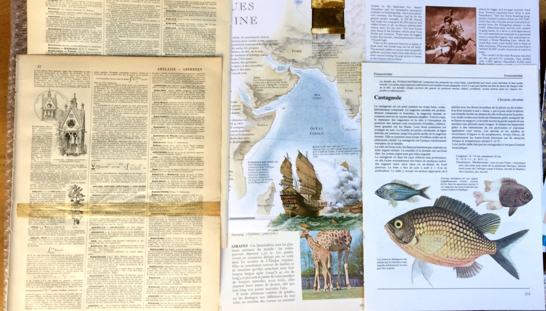 Bücher: ephemera 9/papier collage bastelpapier scrapbooking +Versand – Gebraucht aus Pully von websurfer1 1