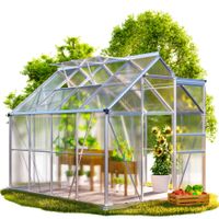 Alu Treibhaus 250x190x195cm mit Fundament