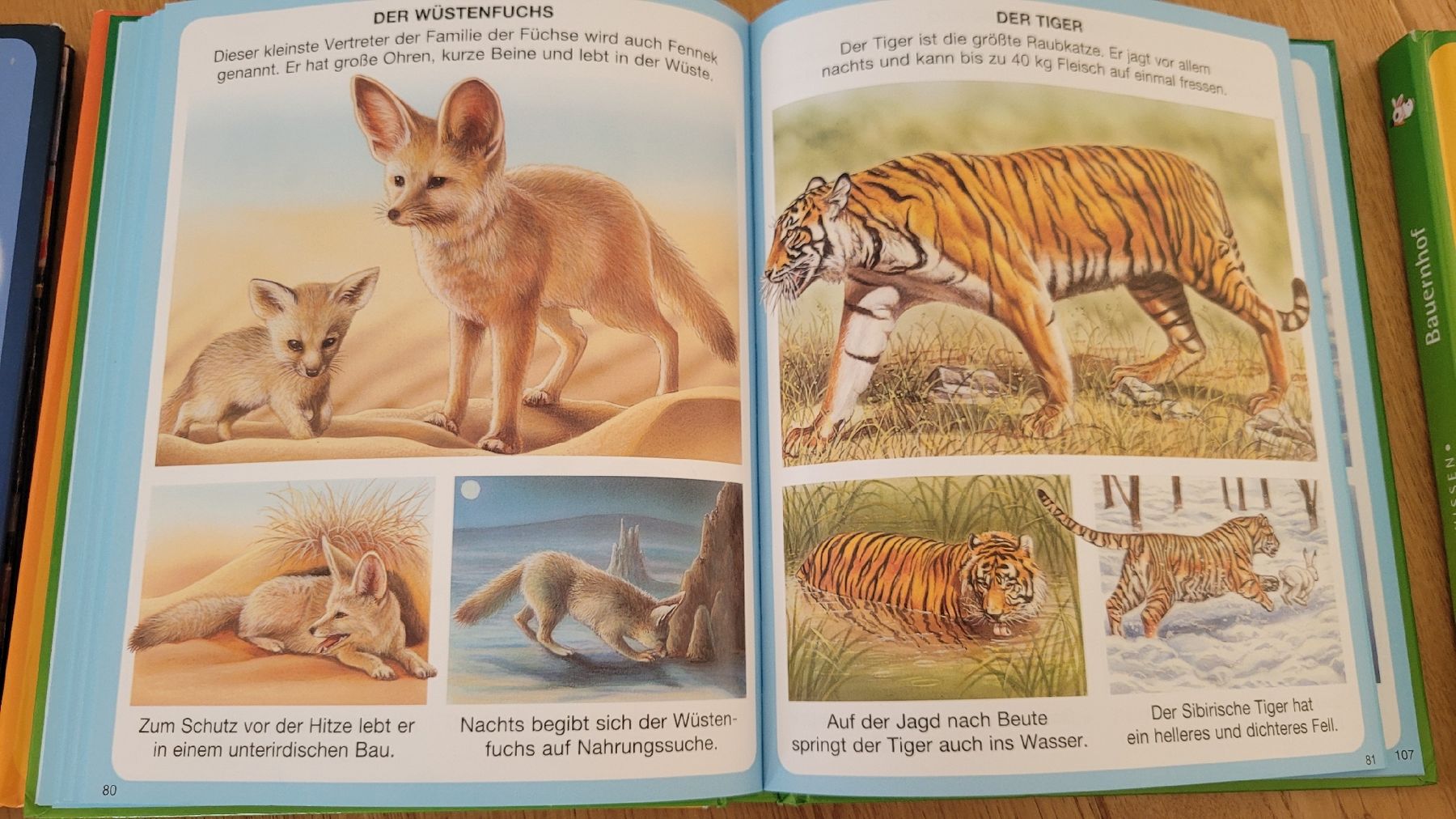 Libri: Bücherserie- Kinderwissen – Usato da Worb venduto da Sibille20 5