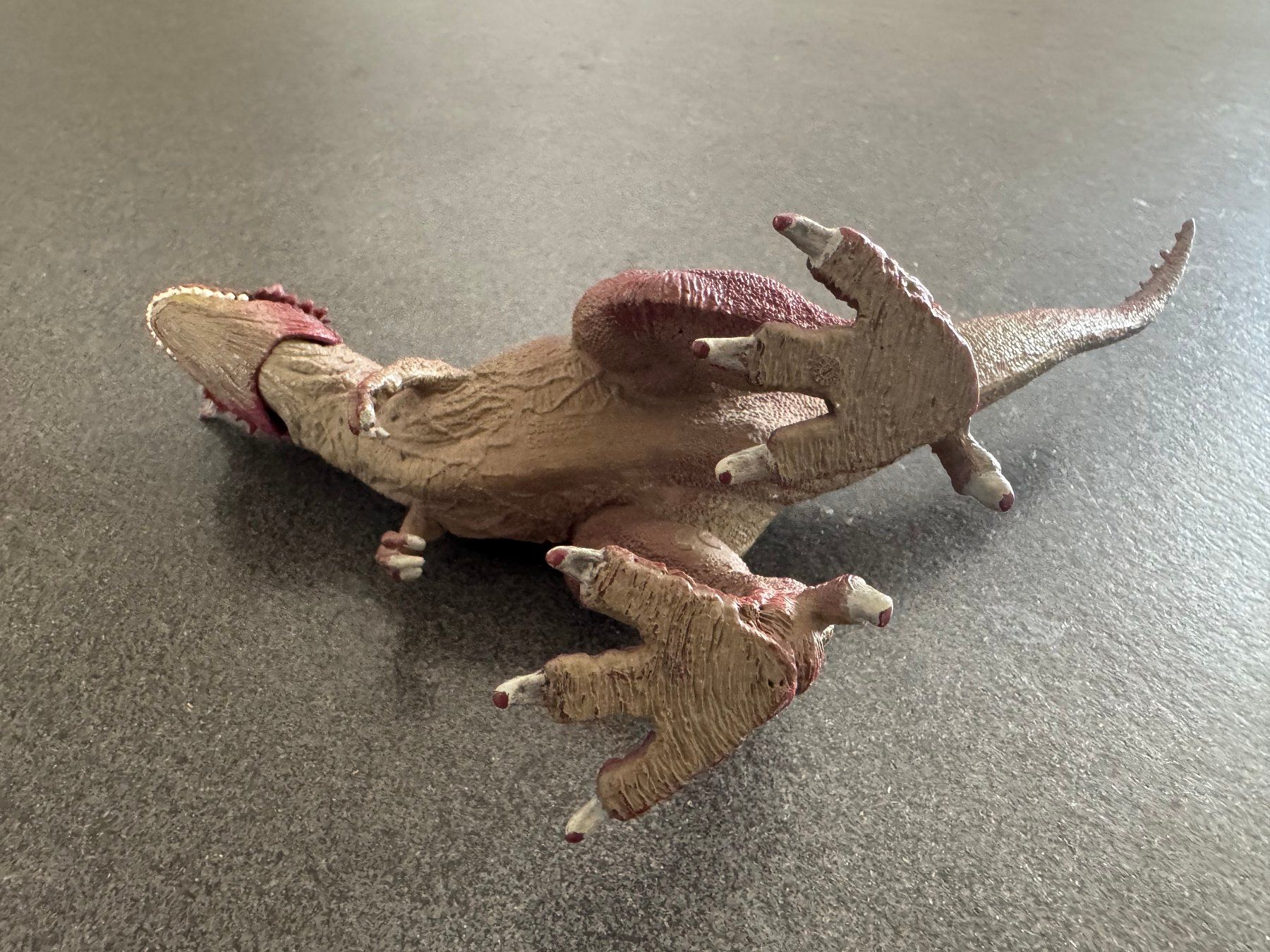 Schleich Giocattoli: Schleich Saurierfigur- Dinosaurier "Carnotaurus" 2012 – Usato da Fribourg venduto da tschjoly 8