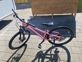 Norco Storm 24 Zoll