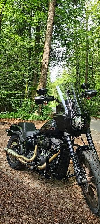 Cruisers: Harley Davidson Low Rider S – D'occasion à Geuensee par GuiMundo