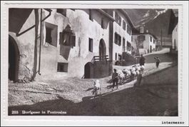 Pontresina GR // Dorfgasse // 1955 // Schafe Schafhirte