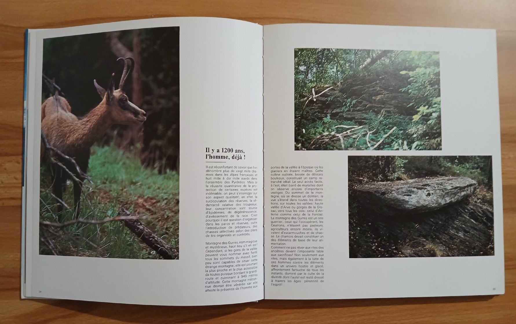 Libri: Mont-Blanc: Refuge de l'Éternité – Usato da Le Sentier venduto da arc_2thy 2