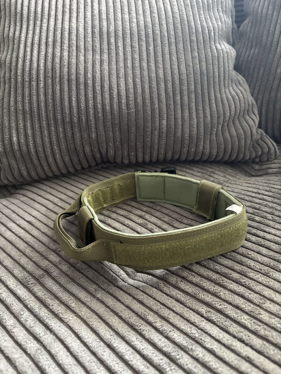 Leine & Halsband: Hundehalsband – Gebraucht aus Schwerzenbach von nadjaliz5 2