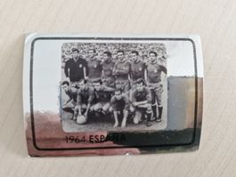 Espana Panini Fussballbildnr. 525 Euro 2008