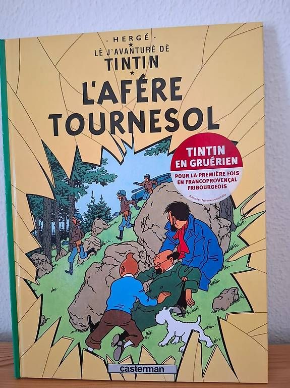 Fumetti: Tintin, édition spéciale. – Nuovo (secondo la descrizione) da Denges venduto da Titounet1