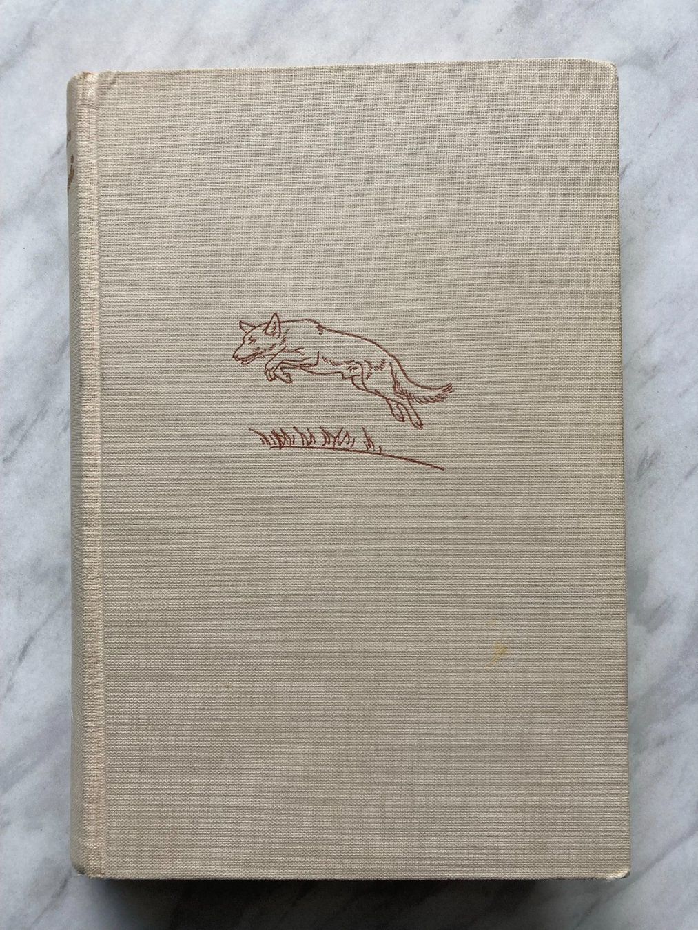 Libri: Renni der Retter – Usato da Mirchel venduto da buecher_wurm