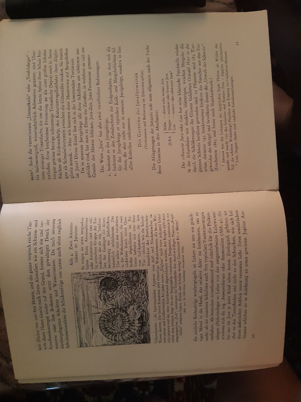 Livres: BRUGG – D'occasion à Frick par kyb_yq8h 3
