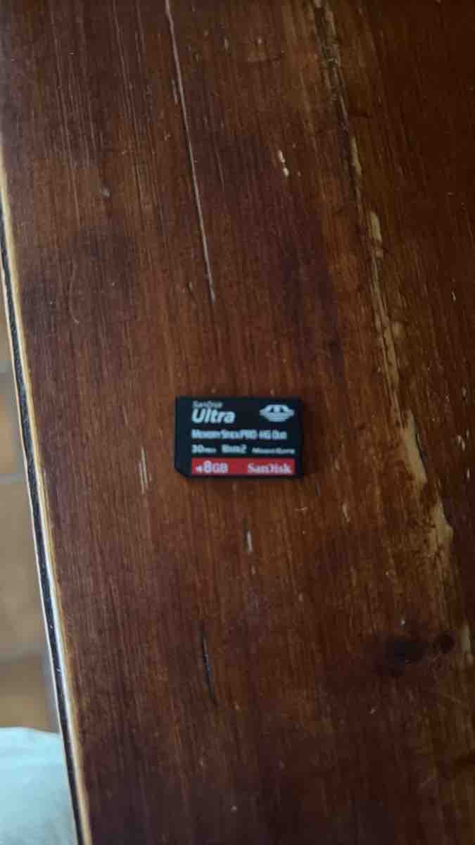 Sandisk Cartes mémoire: Scheda SD SanDisk Ultra 8GB Class 10 usata – D'occasion à Bellinzona par Andreea90