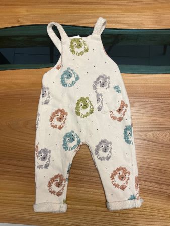 Süsse Latzhose mit Igeln von Zara Unisex Gr 68 NEU